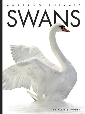 cover image of Swans